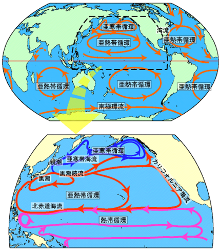 図１ 海洋表層の循環の模式図